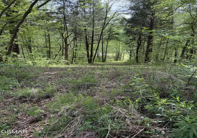 17th image of 0 Dark Hollow Road, Cosby, TN 37722 | MLS# 3302157