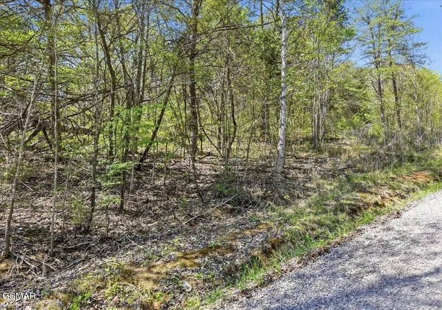 3rd image of 0 Dark Hollow Road, Cosby, TN 37722 | MLS# 3302157