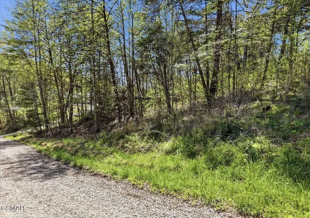 4th image of 0 Dark Hollow Road, Cosby, TN 37722 | MLS# 3302157