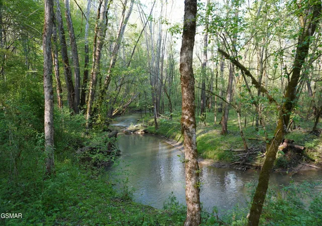 2nd image of 12 Golf Course Road, Newport, TN 37821 | MLS# 3281436