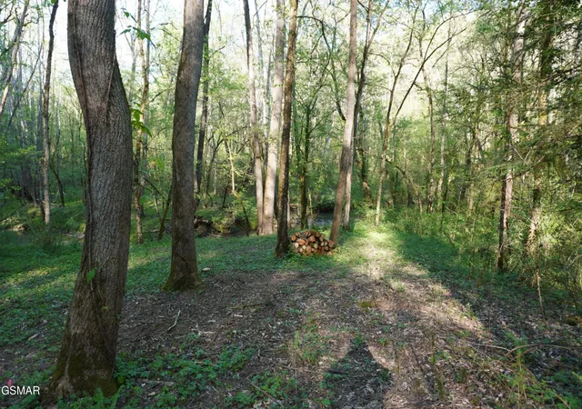 4th image of 12 Golf Course Road, Newport, TN 37821 | MLS# 3281436