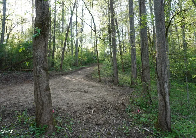 5th image of 12 Golf Course Road, Newport, TN 37821 | MLS# 3281436