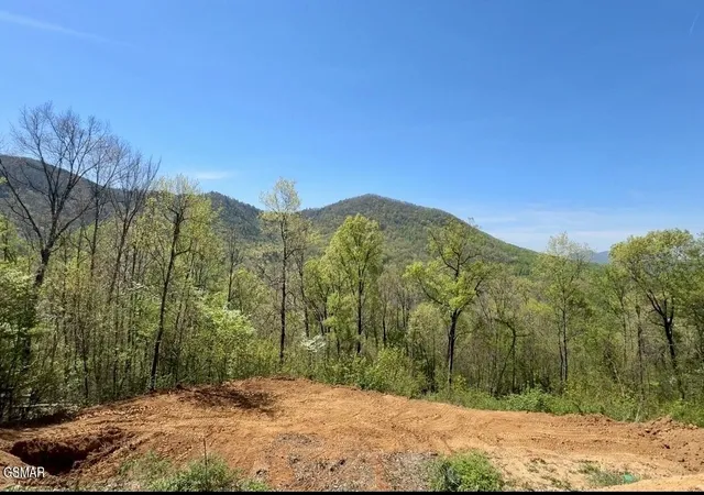 1st image of 520 Stevia Way, Cosby, TN 37722 | MLS# 3519179