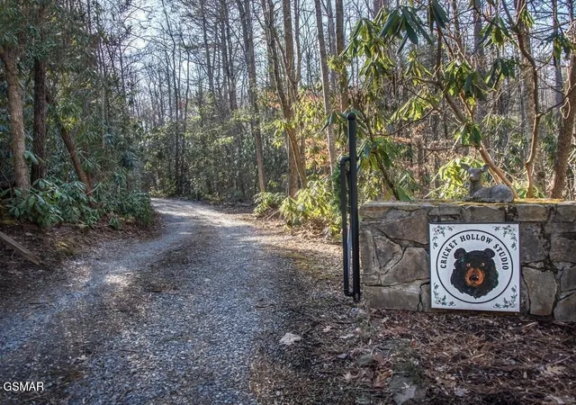 3rd image of 125 Cricket Hollow Way, Cosby, TN 37722 | MLS# 3302121