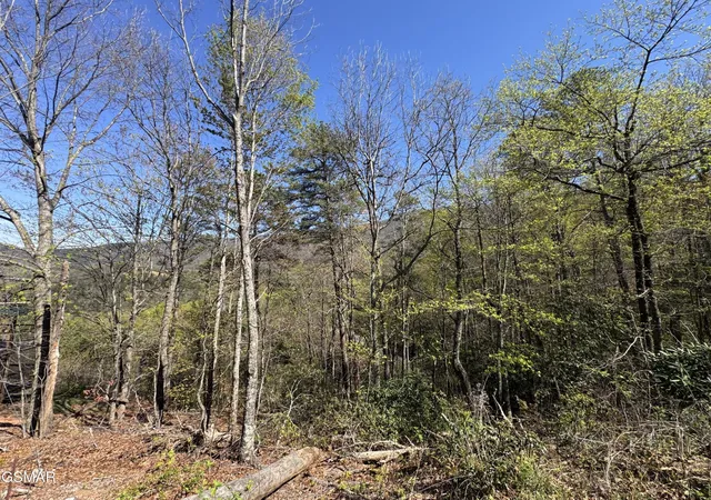5th image of 11 Perry Cir Lane, Sevierville, TN 37862 | MLS# 3278368