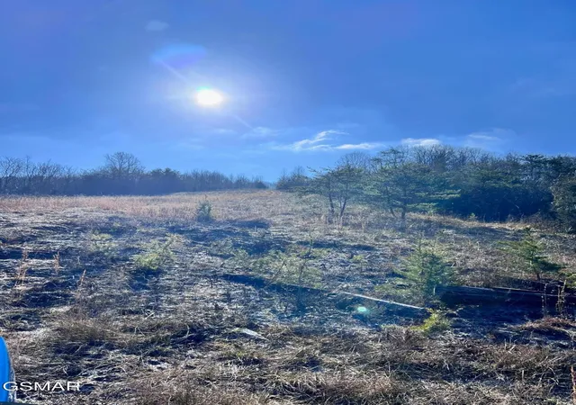 2nd image of 1581 Lower Caney Valley Road, Tazewell, TN 37879 | MLS# 3265801