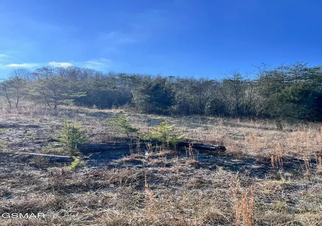 3rd image of 1581 Lower Caney Valley Road, Tazewell, TN 37879 | MLS# 3265801