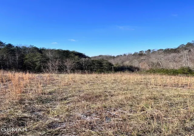 4th image of 1581 Lower Caney Valley Road, Tazewell, TN 37879 | MLS# 3265801