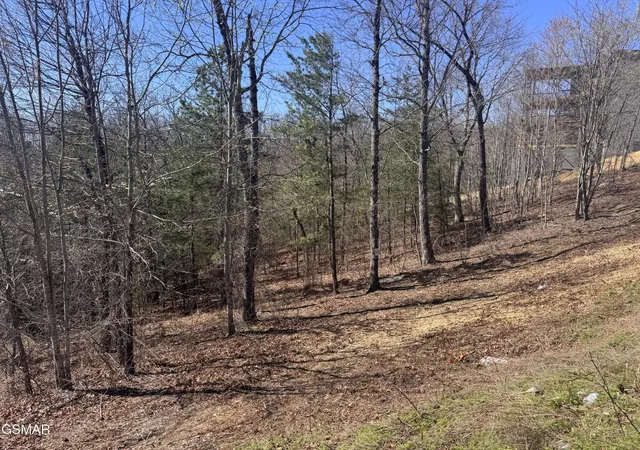 3rd image of 100 Laurel Cove Trail, Sevierville, TN 37862 | MLS# 3298371