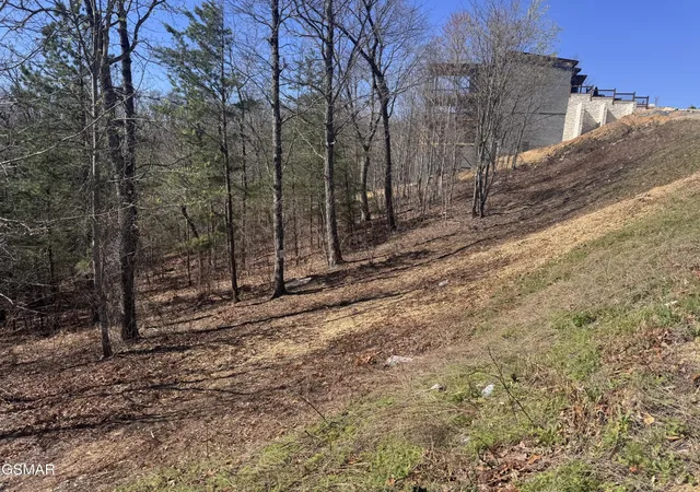 4th image of 100 Laurel Cove Trail, Sevierville, TN 37862 | MLS# 3298371