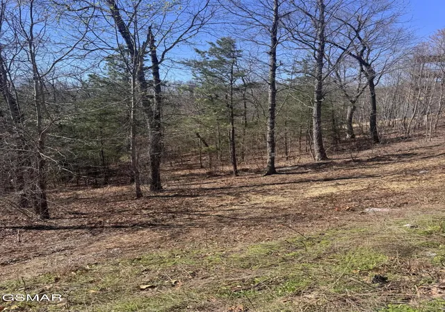 5th image of 100 Laurel Cove Trail, Sevierville, TN 37862 | MLS# 3298371