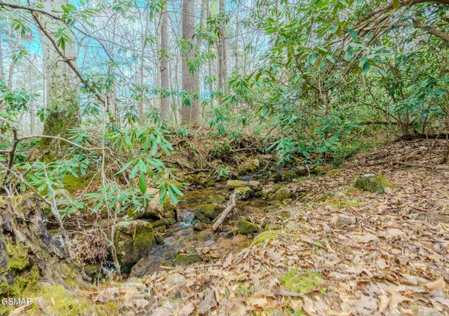 4th image of 3386 Rocky Ridge Road, Cosby, TN 37722 | MLS# 3270013