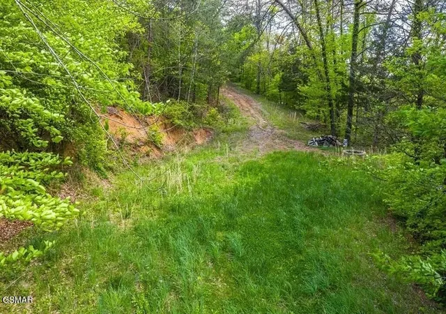 4th image of 2 Caywood Road, Dandridge, TN 37725 | MLS# 3269803