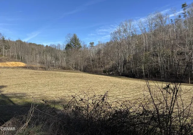 1st image of 2 Bull Mountain Road, Del Rio, TN 37727 | MLS# 3320304