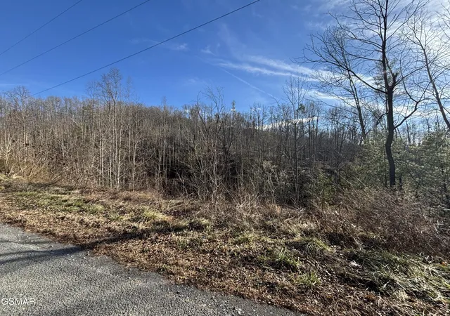 14th image of 2 Bull Mountain Road, Del Rio, TN 37727 | MLS# 3320304