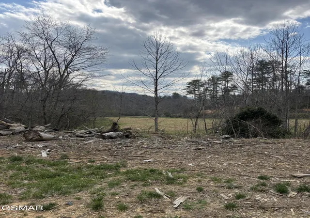 2nd image of 2 Bull Mountain Road, Del Rio, TN 37727 | MLS# 3320304