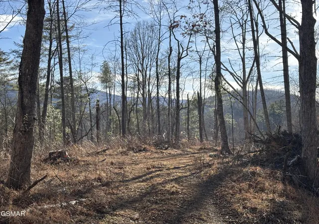 1st image of 1 Bull Mountain Road, Del Rio, TN 37727 | MLS# 3320305