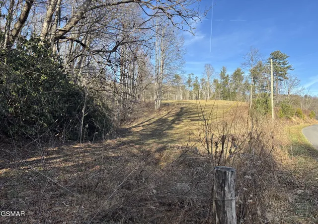 2nd image of 1 Bull Mountain Road, Del Rio, TN 37727 | MLS# 3320305