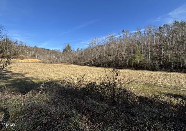 3rd image of 1 Bull Mountain Road, Del Rio, TN 37727 | MLS# 3320305