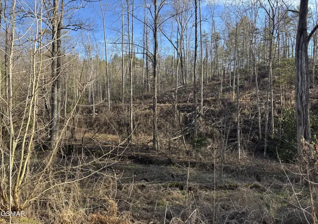 4th image of 1 Bull Mountain Road, Del Rio, TN 37727 | MLS# 3320305