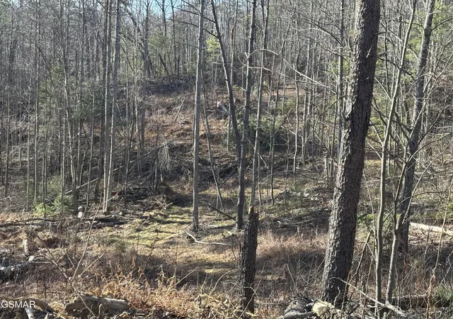 5th image of 1 Bull Mountain Road, Del Rio, TN 37727 | MLS# 3320305
