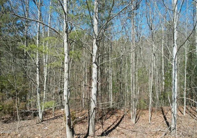 1st image of 442 Hawken Dr, Walland, TN 37886 | MLS# 3284085