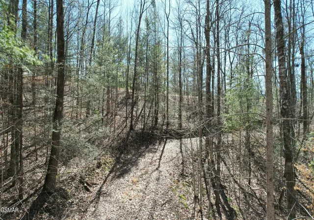 15th image of 442 Hawken Dr, Walland, TN 37886 | MLS# 3284085