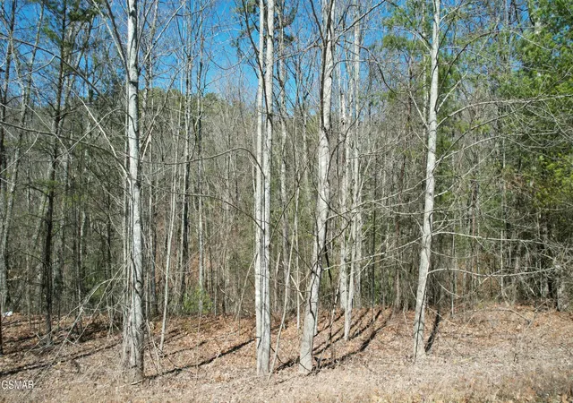 2nd image of 442 Hawken Dr, Walland, TN 37886 | MLS# 3284085
