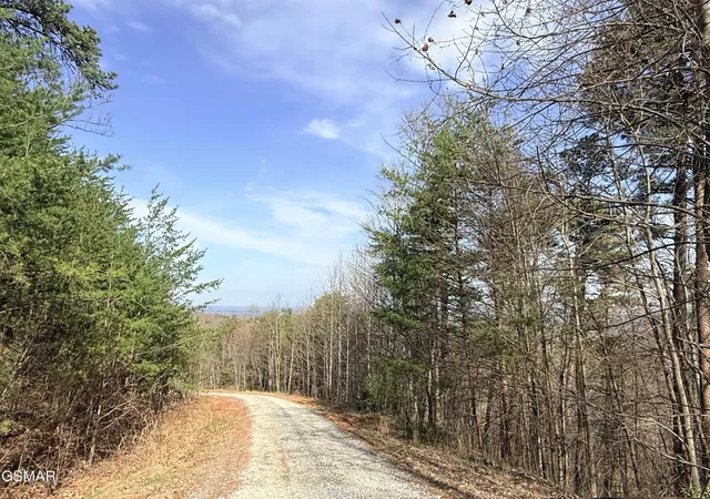 1st image of 0 Trentham Road, Newport, TN 37821 | MLS# 3320281