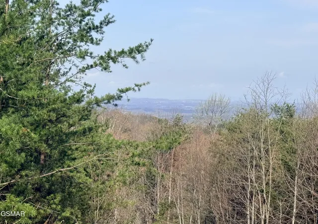 2nd image of 0 Trentham Road, Newport, TN 37821 | MLS# 3320281