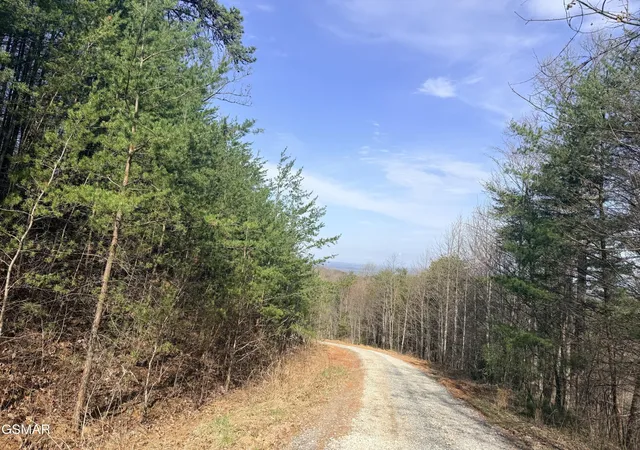 3rd image of 0 Trentham Road, Newport, TN 37821 | MLS# 3320281