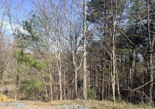 4th image of 0 Trentham Road, Newport, TN 37821 | MLS# 3320281