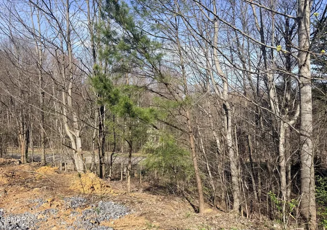 5th image of 0 Trentham Road, Newport, TN 37821 | MLS# 3320281