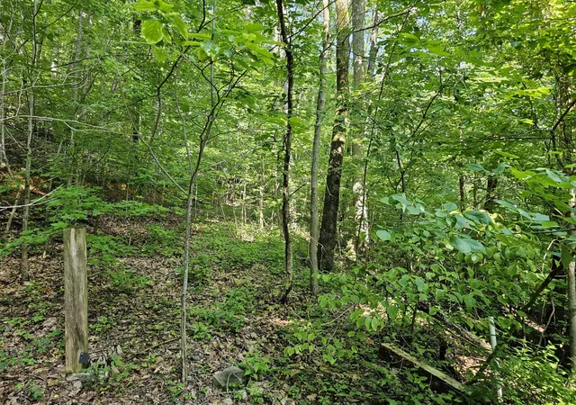 1st image of 10 Kristina Way, Sevierville, TN 37862 | MLS# 3524775