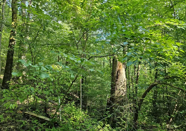 2nd image of 10 Kristina Way, Sevierville, TN 37862 | MLS# 3524775