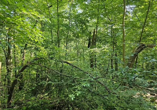 3rd image of 10 Kristina Way, Sevierville, TN 37862 | MLS# 3524775