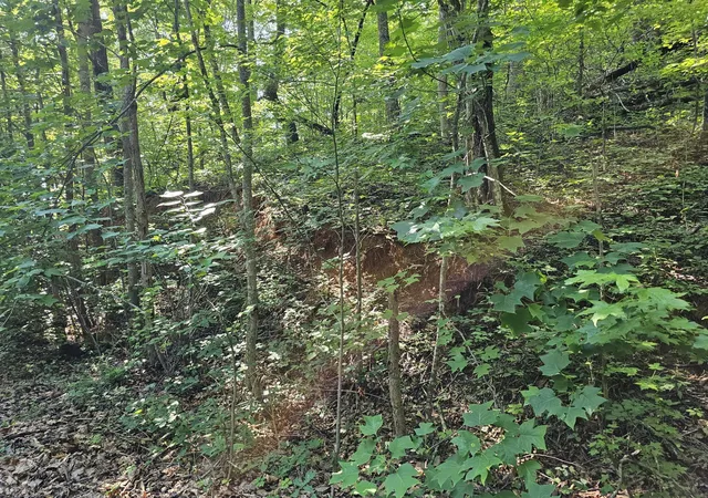 5th image of 10 Kristina Way, Sevierville, TN 37862 | MLS# 3524775