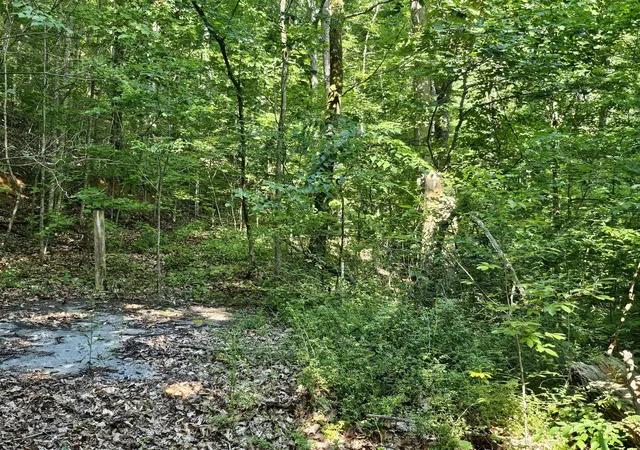 6th image of 10 Kristina Way, Sevierville, TN 37862 | MLS# 3524775