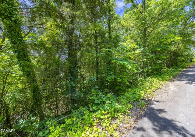 12th image of 407 Jack Potts Dr, Dandridge, TN 37725 | MLS# 3322520