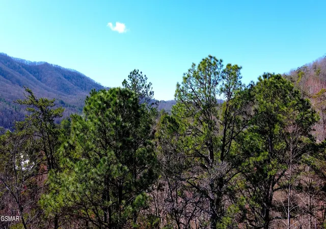 1st image of 4 Walden Ridge Road, Sevierville, TN 37862 | MLS# 3272751