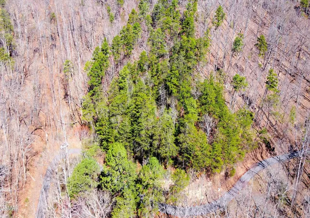2nd image of 4 Walden Ridge Road, Sevierville, TN 37862 | MLS# 3272751