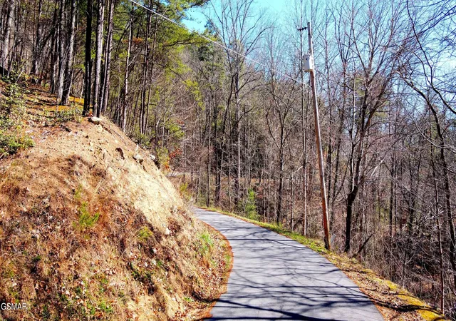 4th image of 4 Walden Ridge Road, Sevierville, TN 37862 | MLS# 3272751