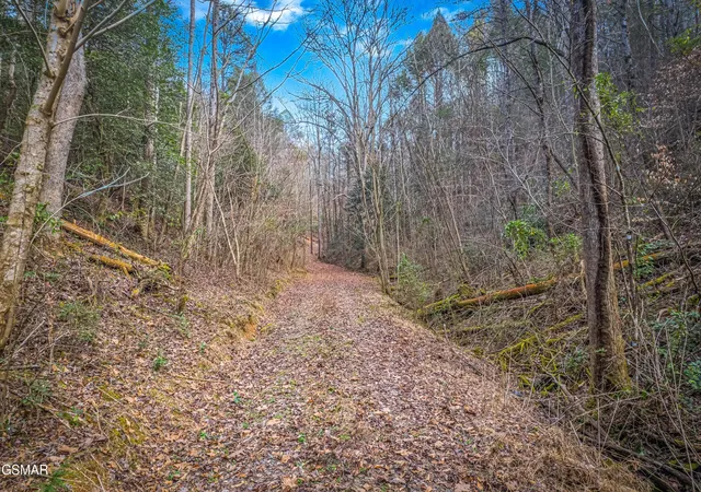 3rd image of 0 Boogertown Road, Sevierville, TN 37876 | MLS# 3280810
