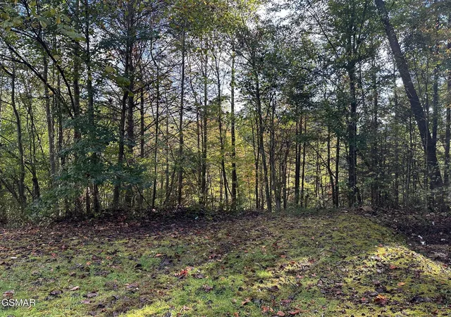 Homes for sale in Sevierville, TN | 1423 Mountain Dreams Way, Sevierville, TN 37862 | MLS# 3265809
