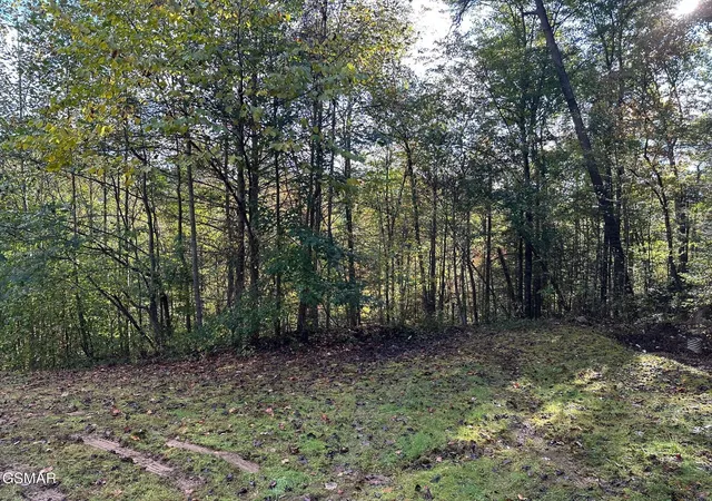 Homes for sale in Sevierville, TN | 1423 Mountain Dreams Way, Sevierville, TN 37862 | MLS# 3265809