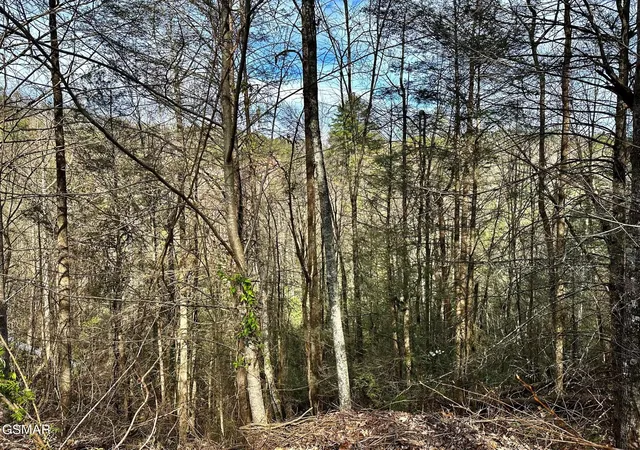 Homes for sale in Sevierville, TN | 1423 Mountain Dreams Way, Sevierville, TN 37862 | MLS# 3265809