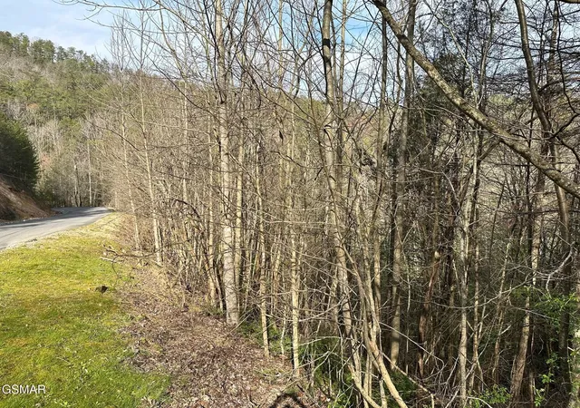 Homes for sale in Sevierville, TN | 1423 Mountain Dreams Way, Sevierville, TN 37862 | MLS# 3265809