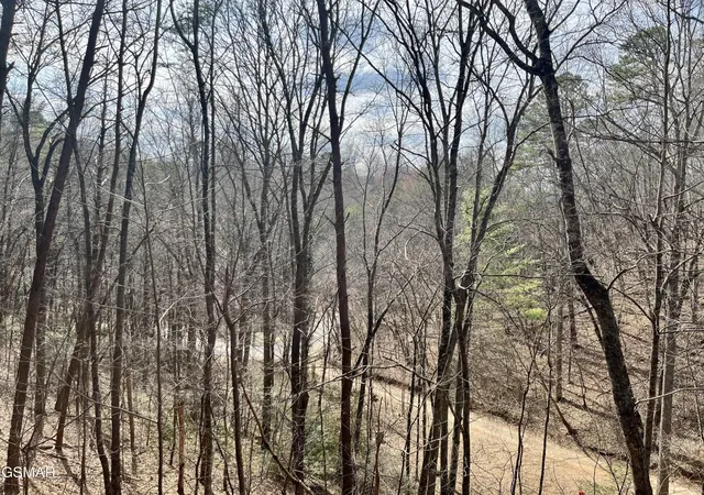 29th image of 1520 Ski View Lane, Sevierville, TN 37876 | MLS# 3264186