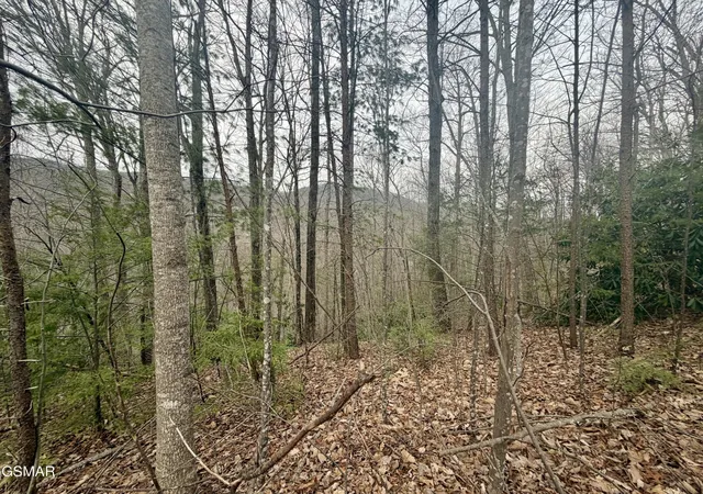 1st image of 6 Thissa Way, Gatlinburg, TN 37738 | MLS# 3302093