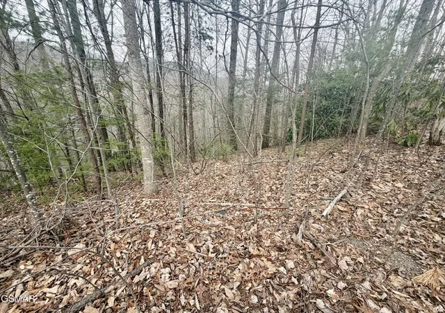 2nd image of 6 Thissa Way, Gatlinburg, TN 37738 | MLS# 3302093